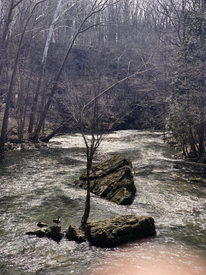 A Beautiful Park at Clifton State Nature Preserve in Yellow