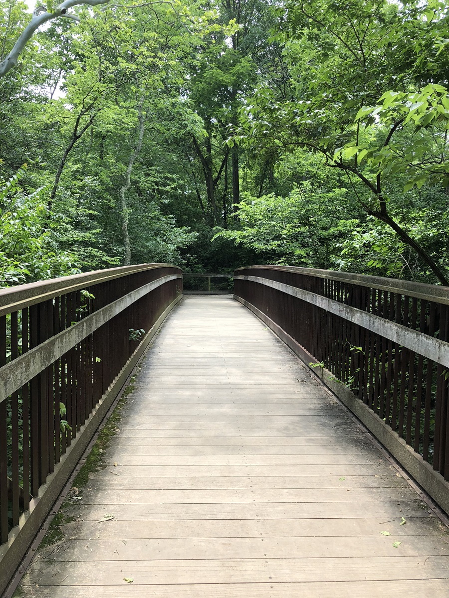 Indian Run Falls Park