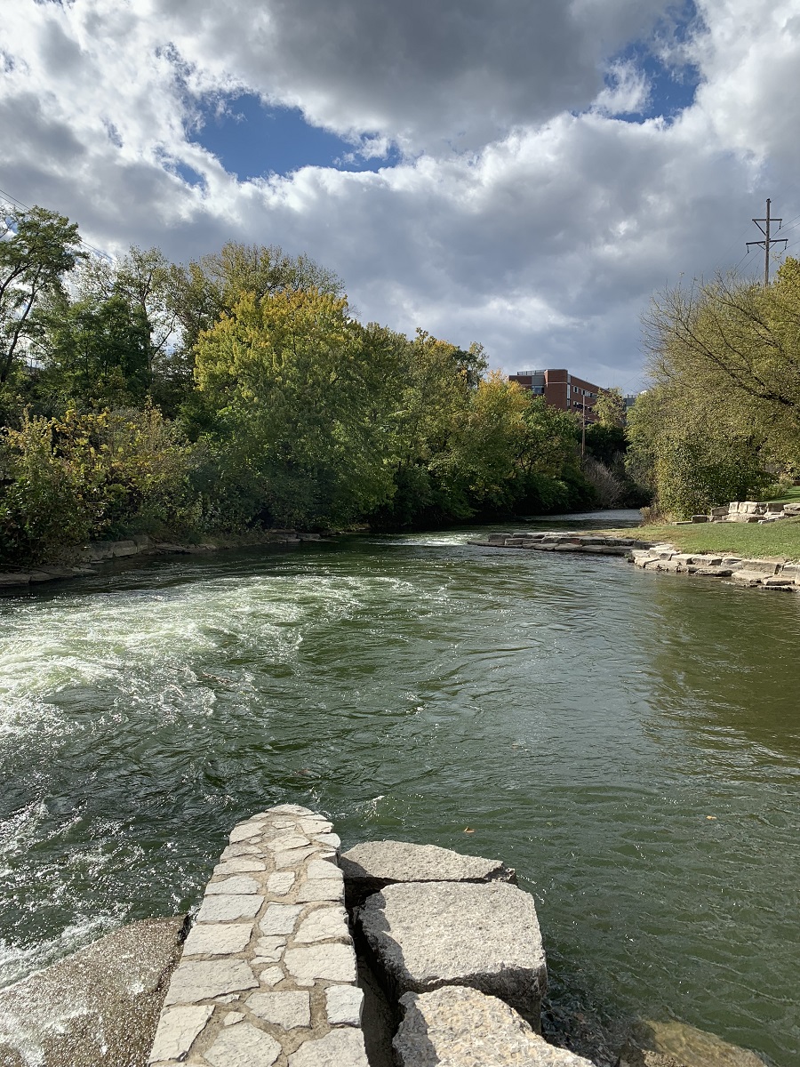 Springfield Museum of Art