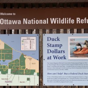 Ottawa National Wildlife Refuge