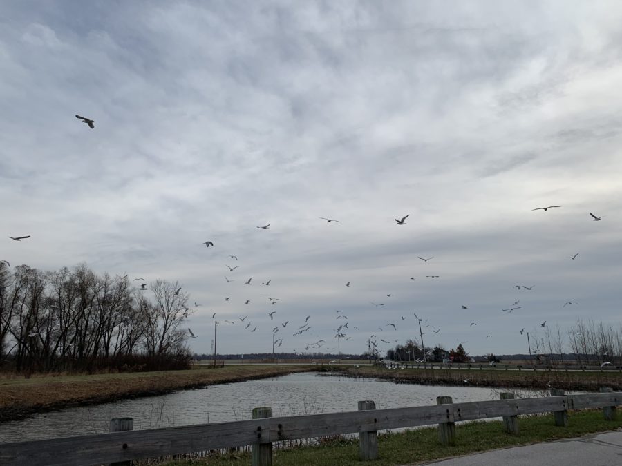 Ottawa National Wildlife Refuge