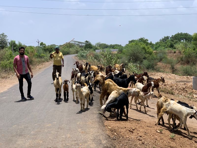 Streets of Rural India