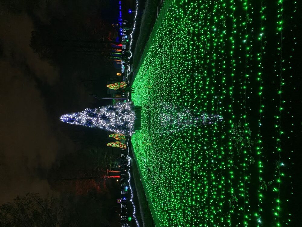 Missouri Botanical Garden Glow