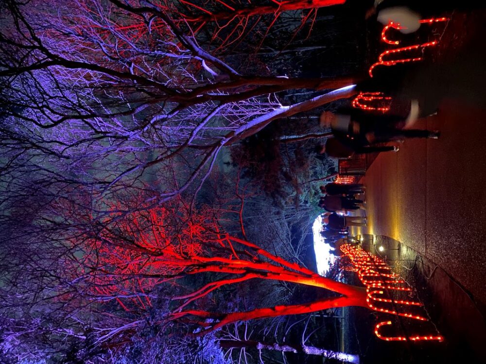 Missouri Botanical Garden Glow