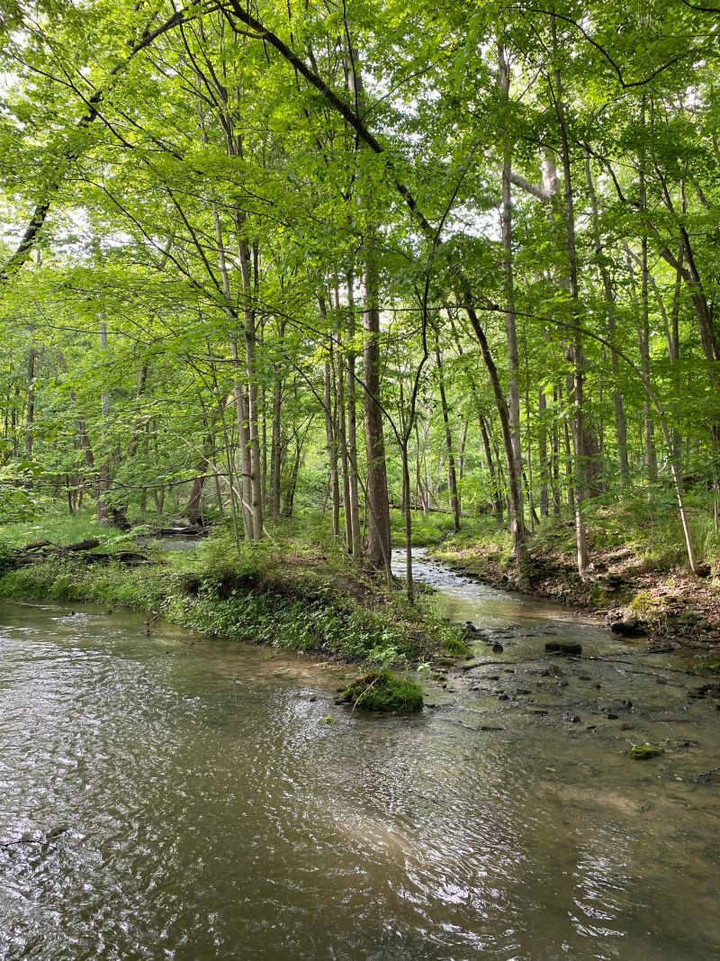 Yellow Springs Ohio Waterfalls