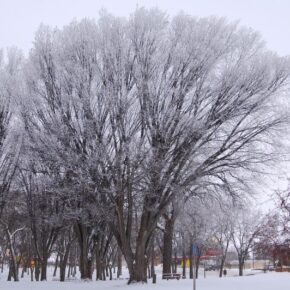 Snow in South Dakota