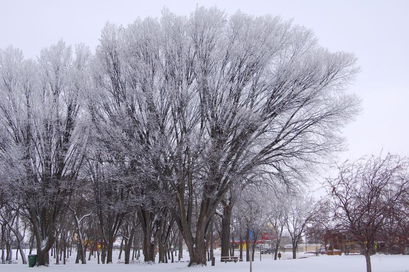 Snow in South Dakota