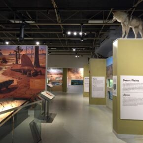 Museum of Nature & Science