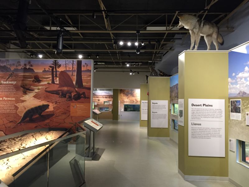 Museum of Nature & Science