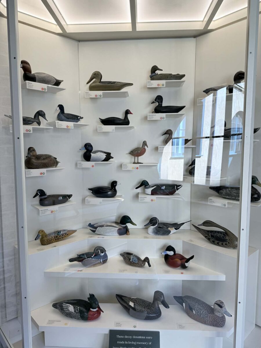 Historic New Orleans Collection Museum